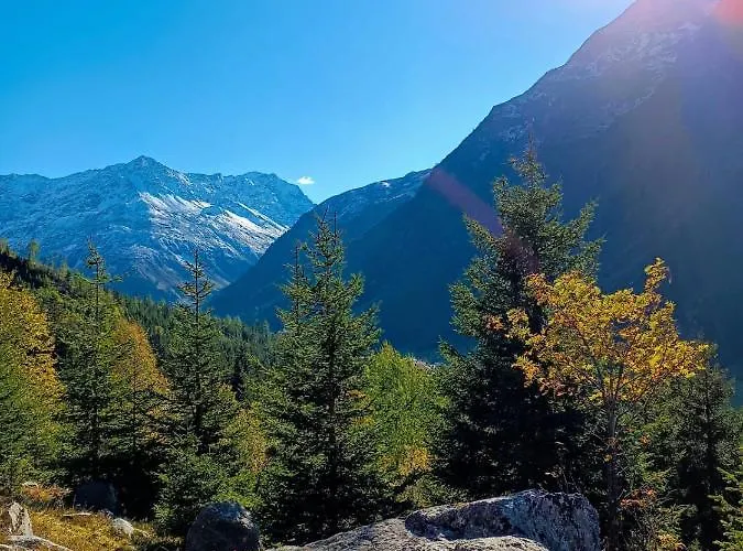 Apartament Haus Bergwind *