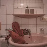 Appartement Haus Bergwind Sankt Leonhard im Pitztal